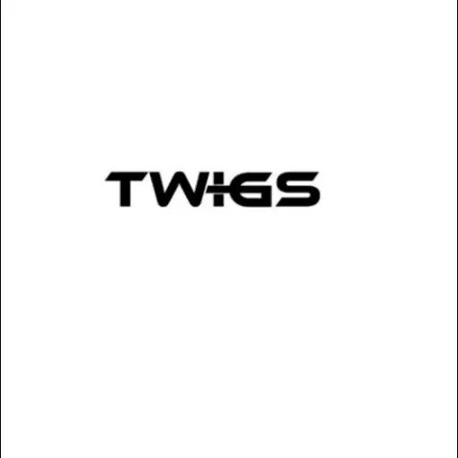 Twigs advertising LLC